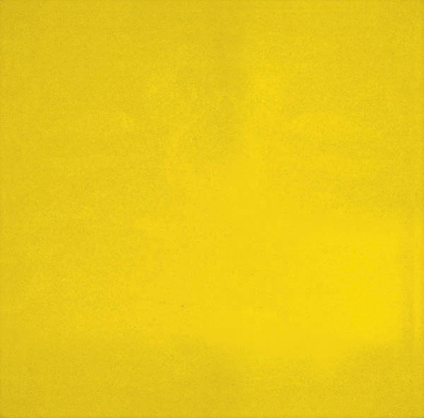 Tillman CURTAIN, 6' X 8', (SINGLE PANEL) TRANSPARENT VINYL YELLOW (601R68)