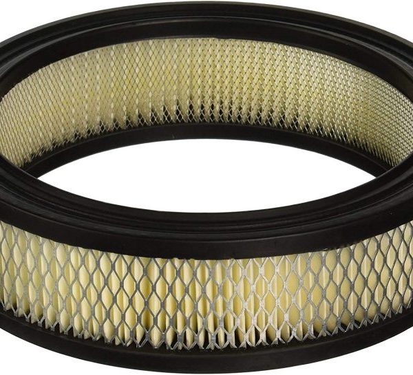 Onan Engine Parts AIR FILTER, ONAN (100149)